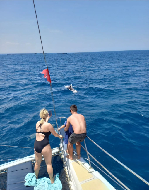 Momente din Tunisia · catamaran