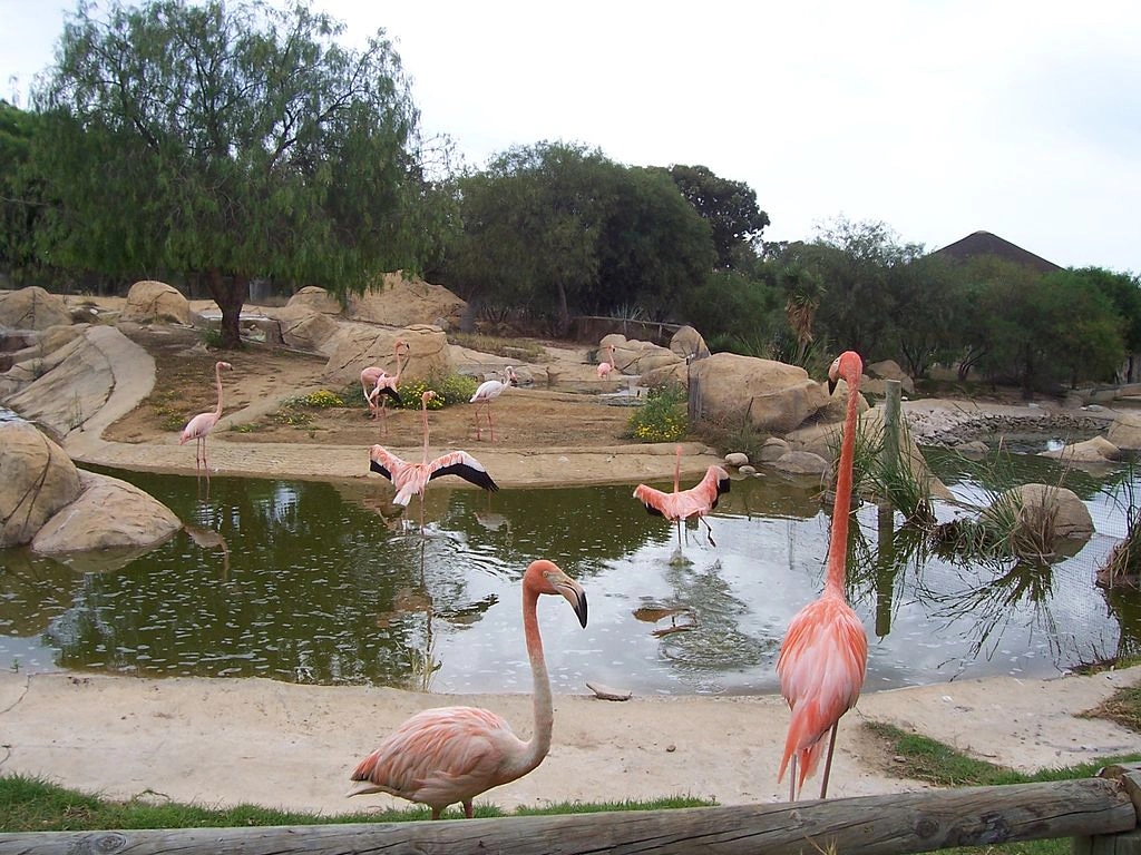 Parc natural din Tunisia — fotografie din tunisia