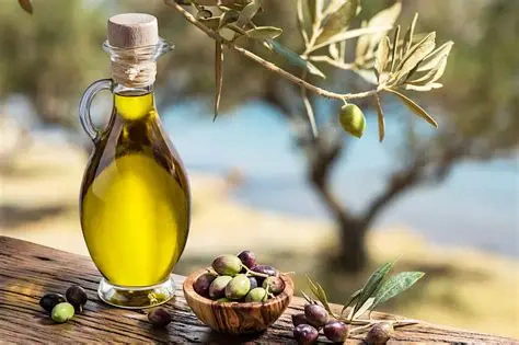 Peisaj tunisian — fotografie din tunisia