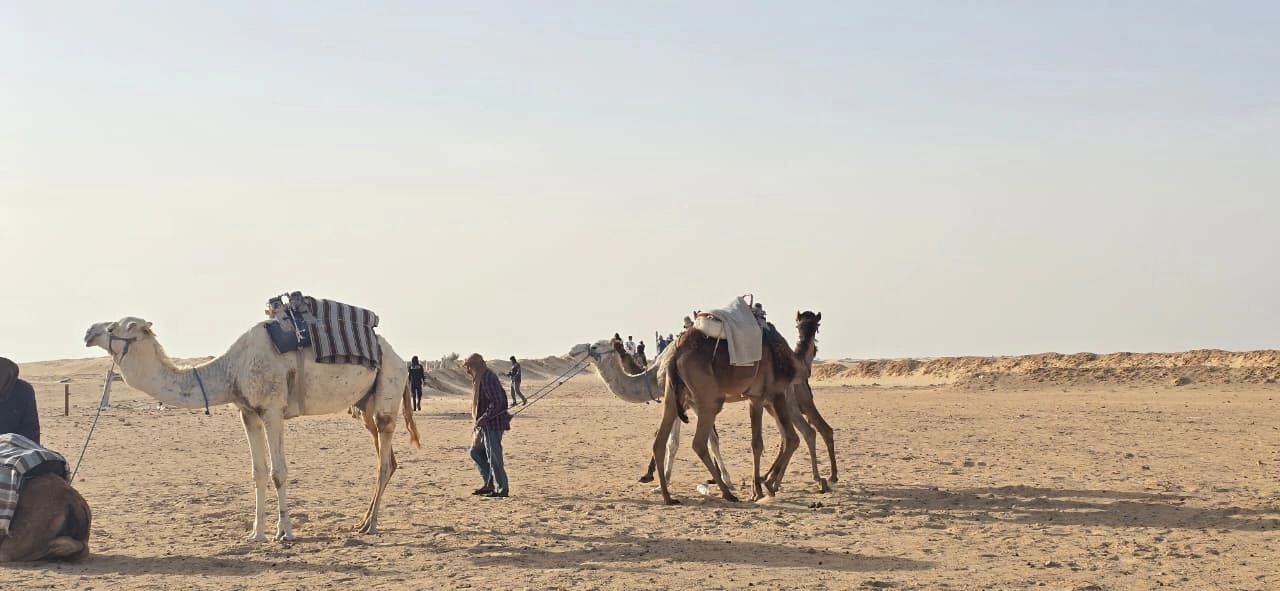 Peisaj saharian — fotografie din tunisia